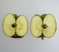 Red Delicious æble